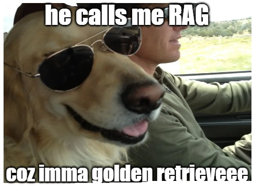 RAG Papers Growth