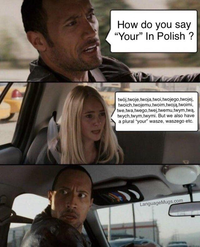 Language Structure Impact